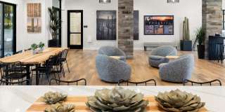 Meritum Sonoran Desert Gallery 29