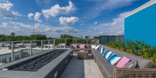 Bell Shady Grove Gallery 38