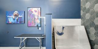 Hyde Park Towns & Flats Gallery 27