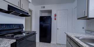 Ashford Buena Vista Gallery 25