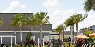 The Sophia Gallery 52