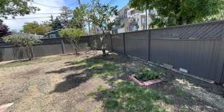 Lovely 3 Bed, 1 Bath, Home in Berkeley, with Hardwood Floors Gallery 27