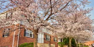 Kingsley Commons Gallery 3