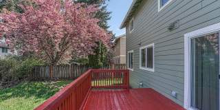 Quiet area near 162nd, Southern exposure, A/C, FP-4BR Gallery 9