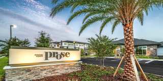 Prose Steven's Pointe Gallery 45