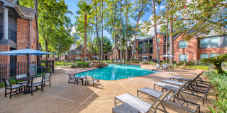 Greenwood Forest Gallery 14