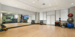 The Victor Gallery 7