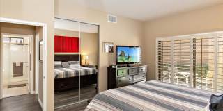 54838 Oak Tree Gallery 23