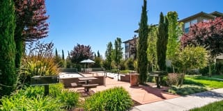 Fiori Estates Gallery 7