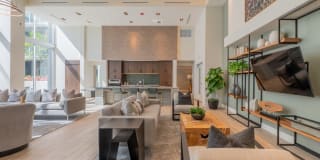 Essence Essence Gallery 40