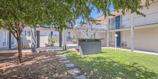 Rise Biltmore Gallery 66