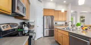 7295 E SUNSET SKY Circle Gallery 7