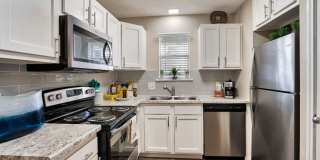 The Palm on SPID Gallery 8