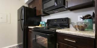 Oak Forest Gallery 24