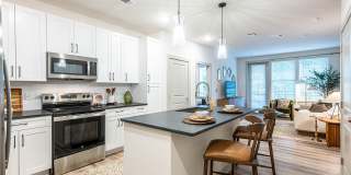 Livano Knoxville Gallery 1