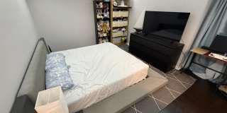 10222 BUSHMAN Drive Gallery 28