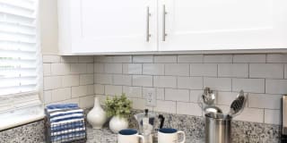 The Nelson Gallery 14