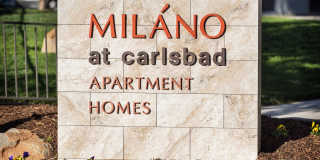 Elan Milano Gallery 11