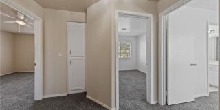 8025 Cherish Avenue Gallery 21