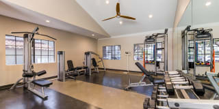 Pointe Niguel Gallery 31