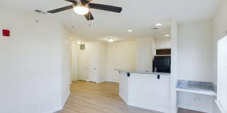 Legacy Park Gallery 37