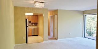 10303 45TH Place unit: 202 Gallery 1