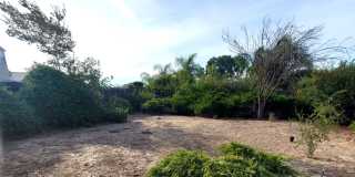 3bd/2ba Single Story, Fresh Updates, Huge Backyard Gallery 19