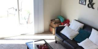 Beautiful 4-Bedroom Home South Fort Collins! Gallery 3