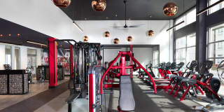 Gallery at Domain Gallery 29