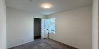 7056 Dandelion Park Avenue Gallery 13