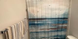 1186 Gallery 17