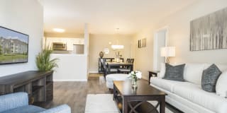 Evergreen at Timber Glen Gallery 1