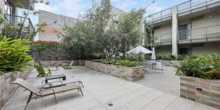 Olea Gallery 46