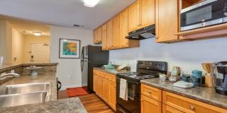 Smith's Landing Gallery 21