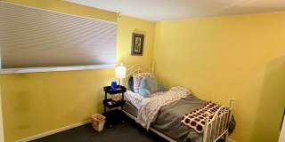 Available Nov 1st / Furnished / 1-Car Garage / 1 Dog on Approval Gallery 15