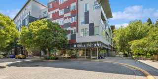 Riverpark Gallery 27