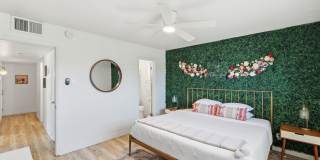 Scottsdale Oasis Ready for July move-in! Gallery 19