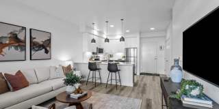 Solis at Petrosa Solis at Petrosa Gallery 1