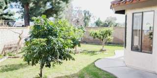 183 S Starflower Gallery 3