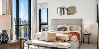 Aster Aster Gallery 26