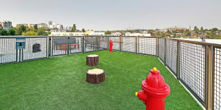 Emerson Seattle Emerson Seattle Gallery 13