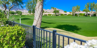 79310 Toronja Gallery 40