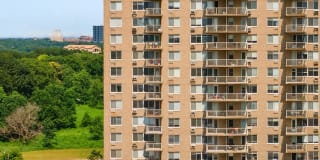 Dorchester Gallery 23