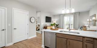 The Canopy Gallery 9