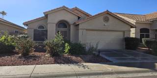 4637 E DESERT CACTUS Street Gallery 1