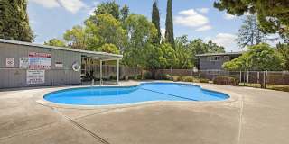 The Chloe Apartments Gallery 3