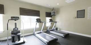 Ellington Woods Apartments Gallery 19