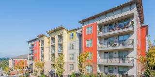 The District Gallery 26