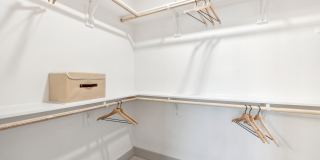 The Albright Gallery 8