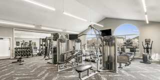 Maison's Landing Gallery 26